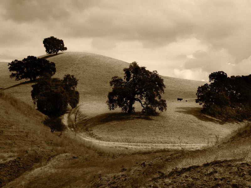 sudoku time killer screenshot 3